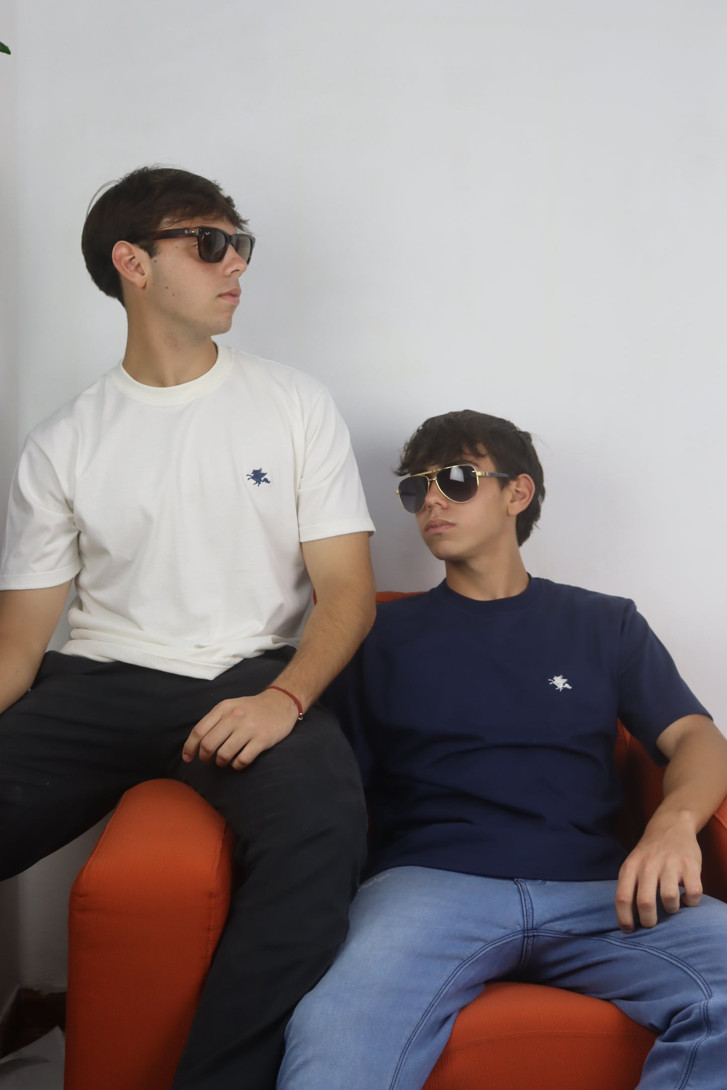 Eeagle Soaring T-Shirt