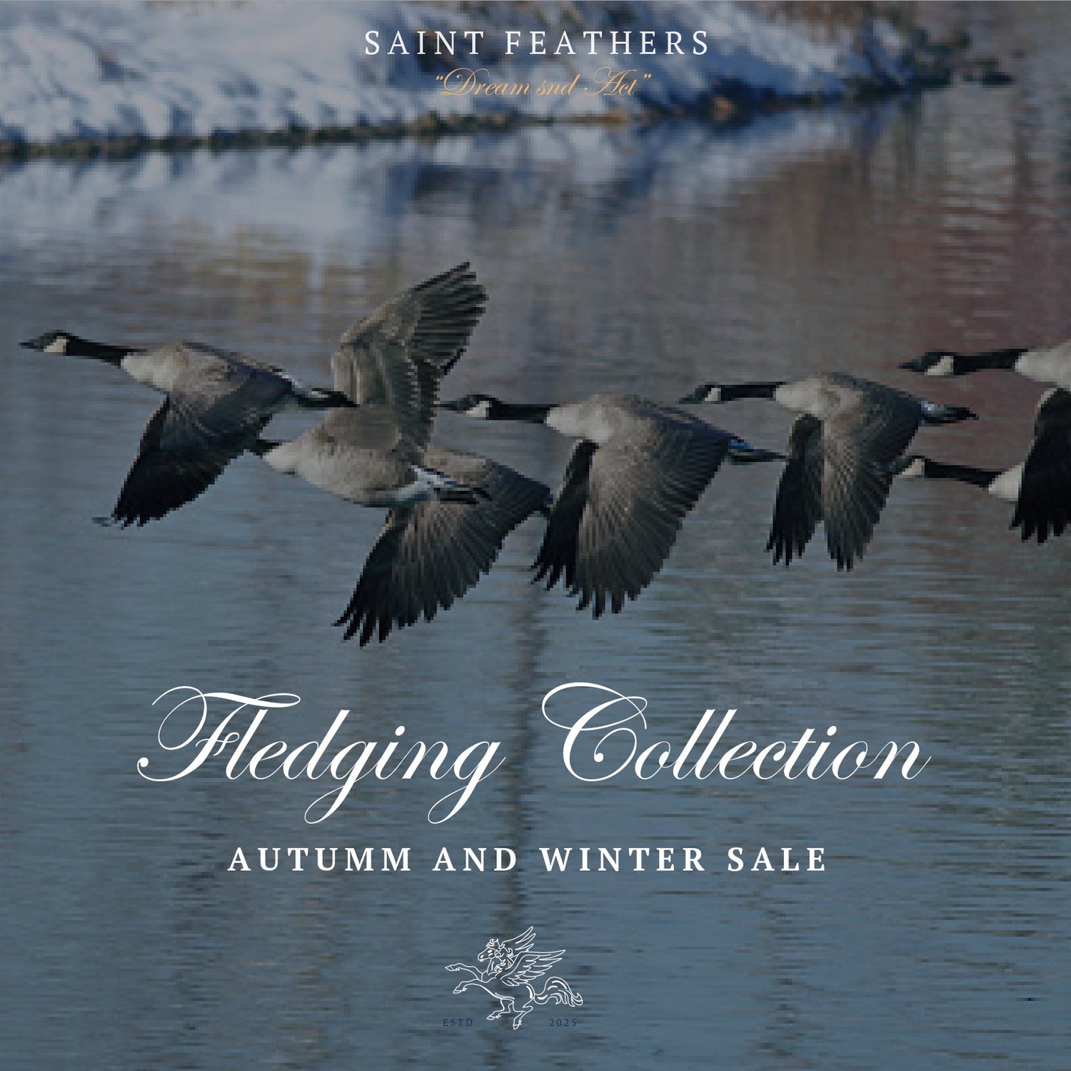Fledging Collection