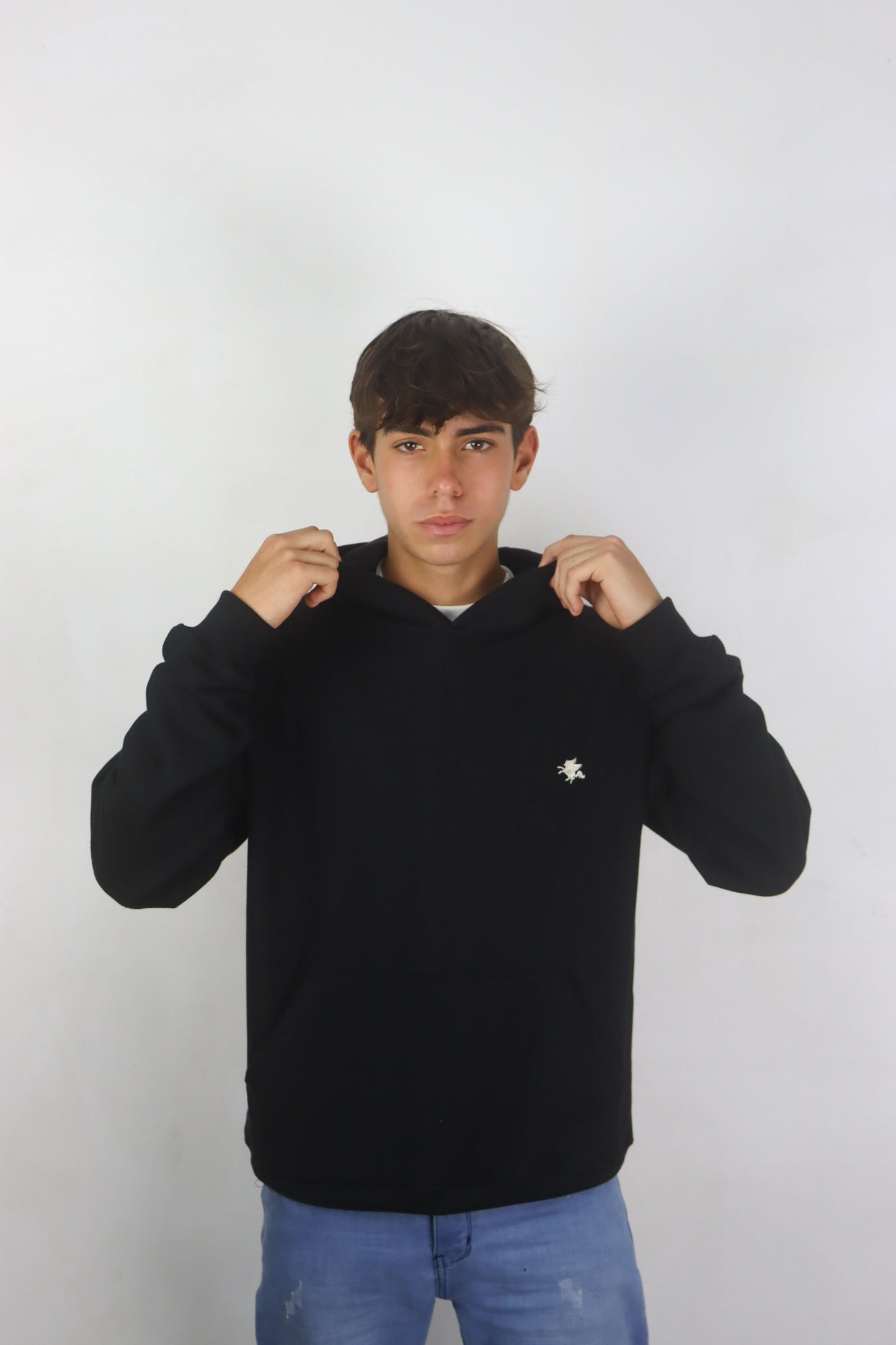 Black Pegasus Essential Hoodie