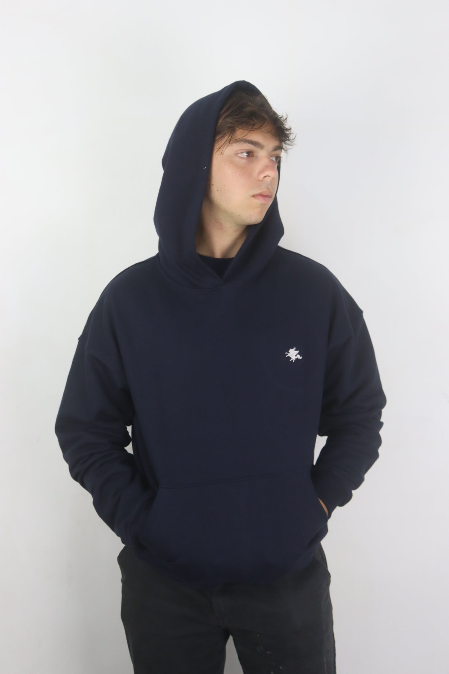 Goose Wings - Hoodie