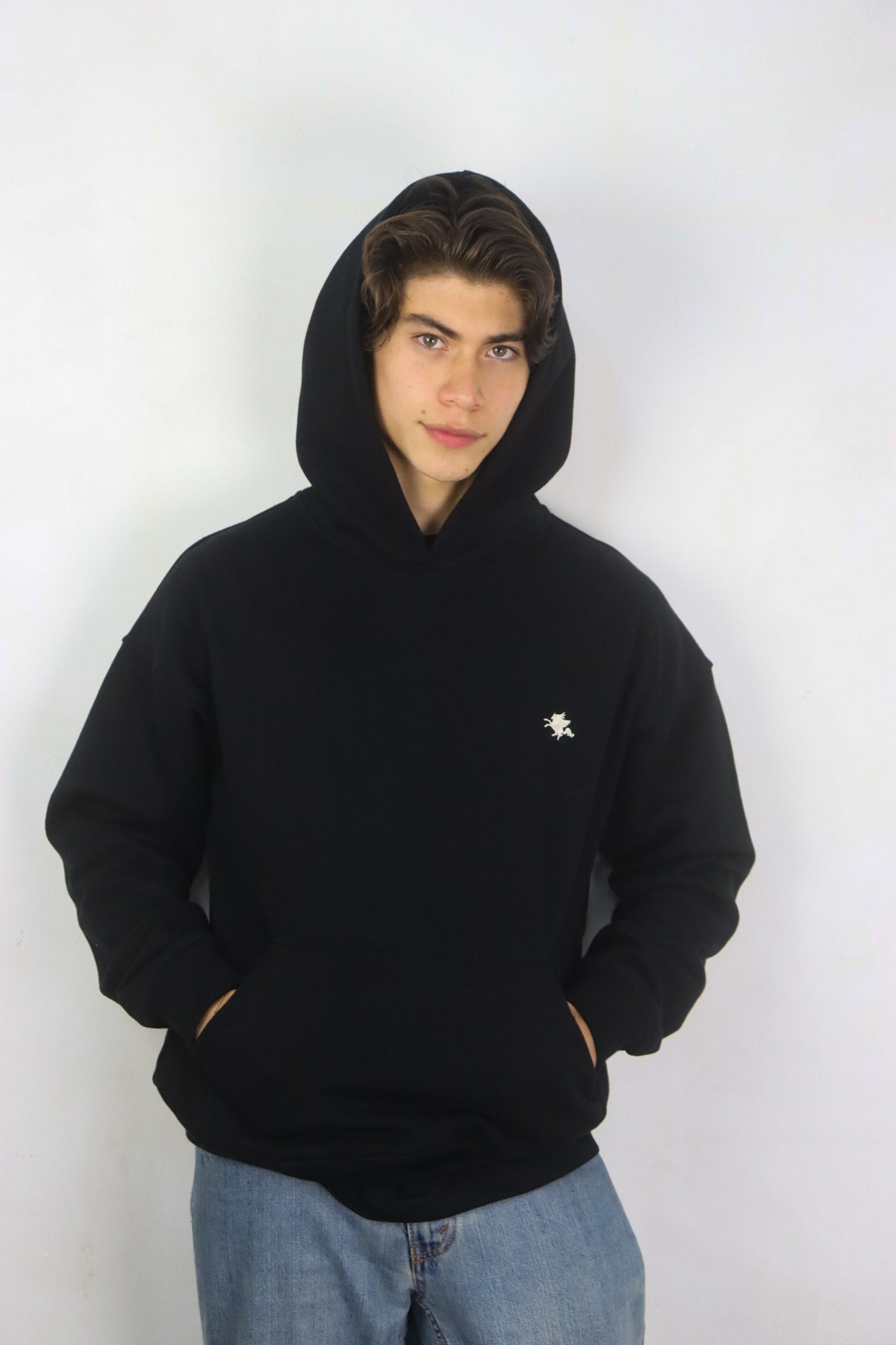 Black Pegasus Essential Hoodie