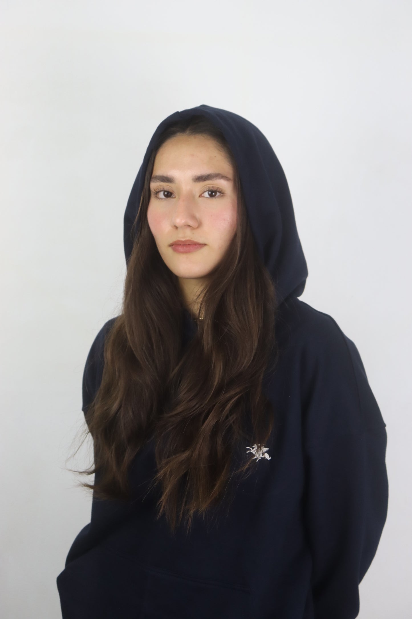Soaring Eagle - Hoodie